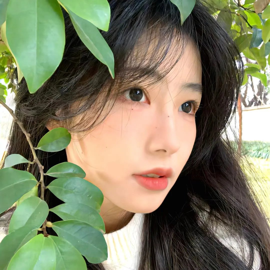 终极欧巴